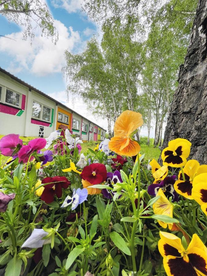 Koza I Brzoza, Domki Z Kontenerow Piechowice  Exterior photo